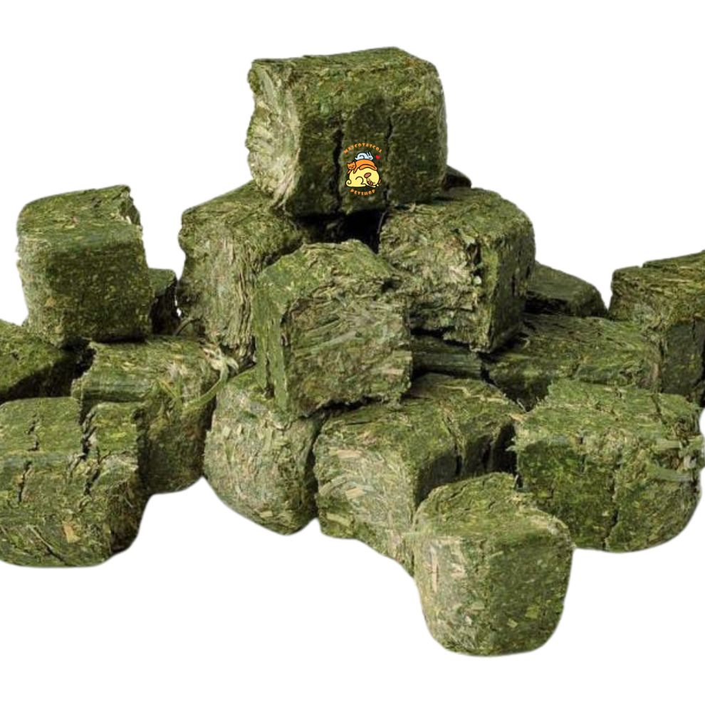 Cubos de alfalfa chilena para conejos en bogota