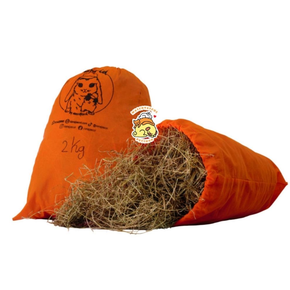 Heno pangola para conejos y cobayos