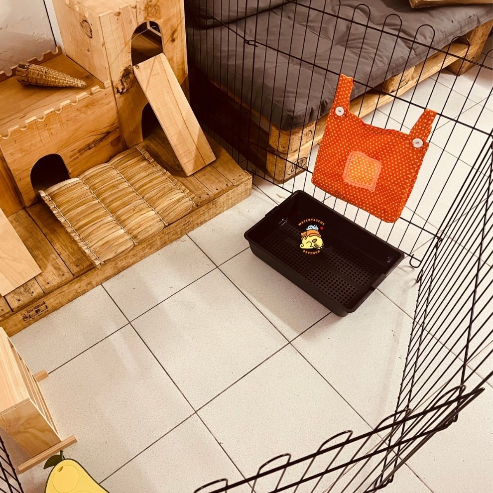 corral para mascotas medellín