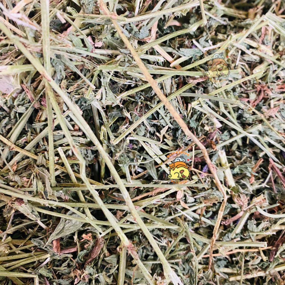 henodealfalfaenbogota