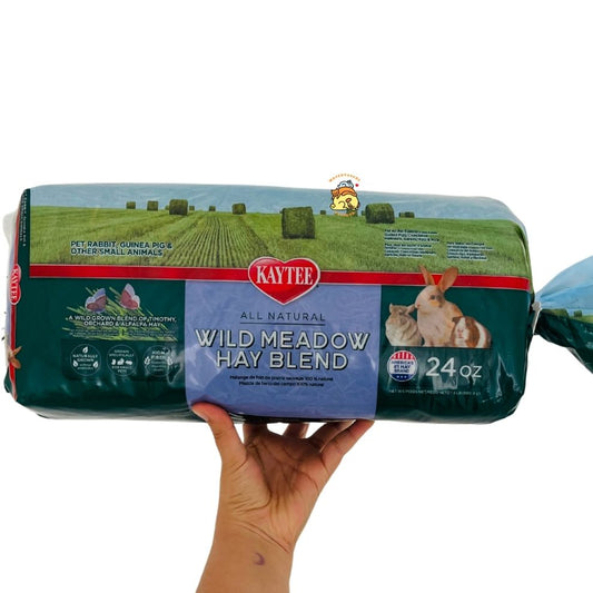 heno timothy colombia