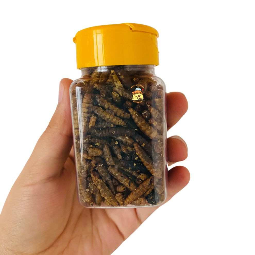 alimentoparahamsterencolombia